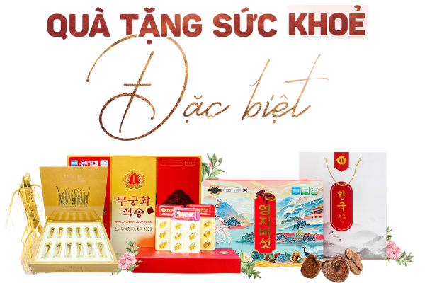 banner trang bìa sâm nấm vione