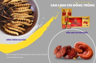 Cao linh chi hàn quốc chính hãng