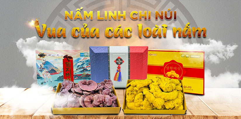 Nấm Linh Chi Núi - Vione Korea